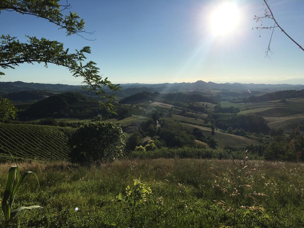 Agriturismo Cascina Nuova Willa Valenza Zewnętrze zdjęcie